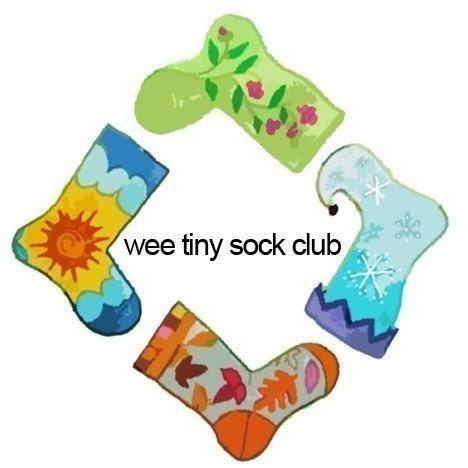 Wee Tiny Sock Club - 3 months