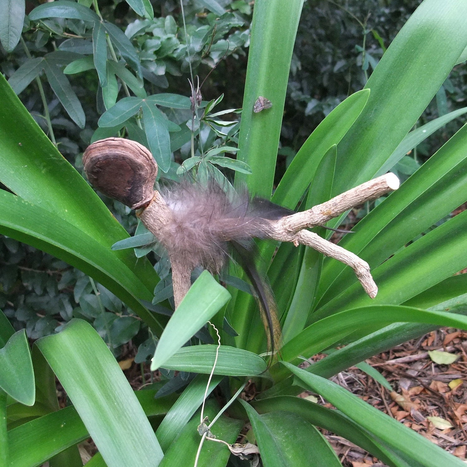 Guardian Angel - Nature Creature - a delightful creation of NaturesArtMelbourne