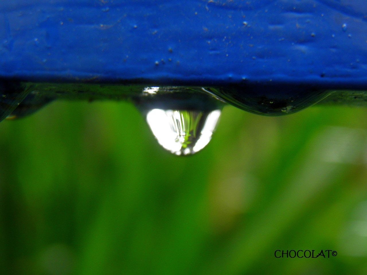 BLUE AND GREEN AND IN BETWEEN - a raindrop reflecting the world inside against a lime green and cornflower blue background- a fine art photography print 8 x 10