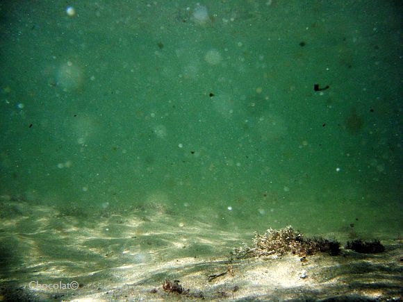 The Storm -  underwater fine art photography print 8 x 10
