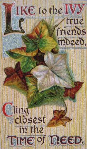 Arts and Crafts Mission Bungalow Ivy Vintage Postcard Framed
