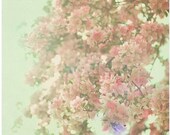 Mint Dream Shabby Chic 5x5 Photograph - dreamy surreal nature print