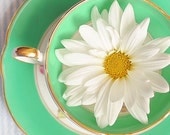Mint Tea 5x5 Photograph - Fresh bright happy colors - daisy in teacup - decor - charming print