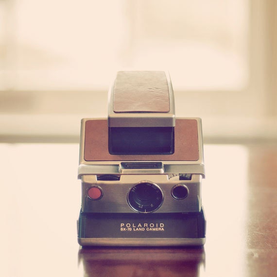 Polaroid Land Photograph 8x8 - vintage camera still life portrait photography - retro modern home decor