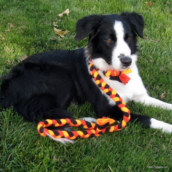 Fleece dog slip lead allinone leash/collar by TilliesTuggies