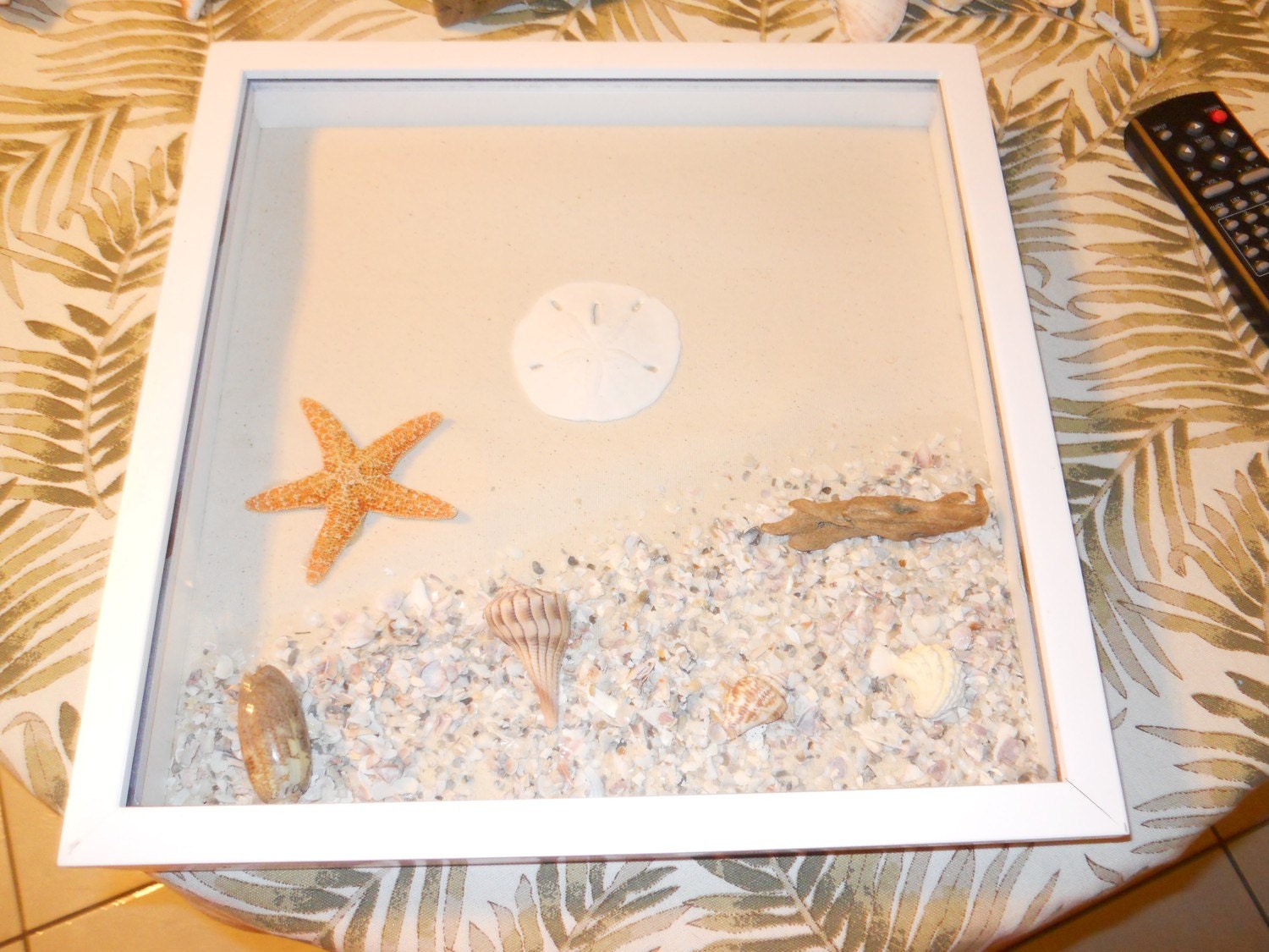 BEACH TREASURES SHADOW BOX SEA SHELL SAND DOLLAR by caroledoc