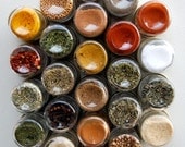 EVERYTHING but the... ROUND Spice Kit for Fridge (24 ORGANIC Spices) Embossed Magnetic Spice Rack. Free Shipping.