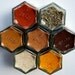 20% off. WELLNESS Kit: Magnetic Spice Kit Filled with 7 Organic Spices and Herbs that Help You Fight Disease.