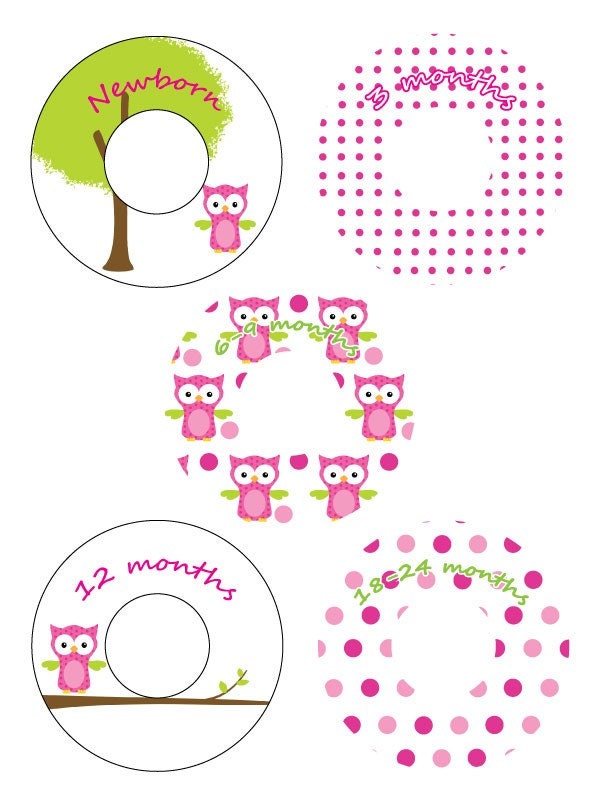 Custom Closet Dividers - OWLS