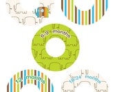 Baby Closet Clothing Dividers - ELEPHANTS Turquoise Green Stripes