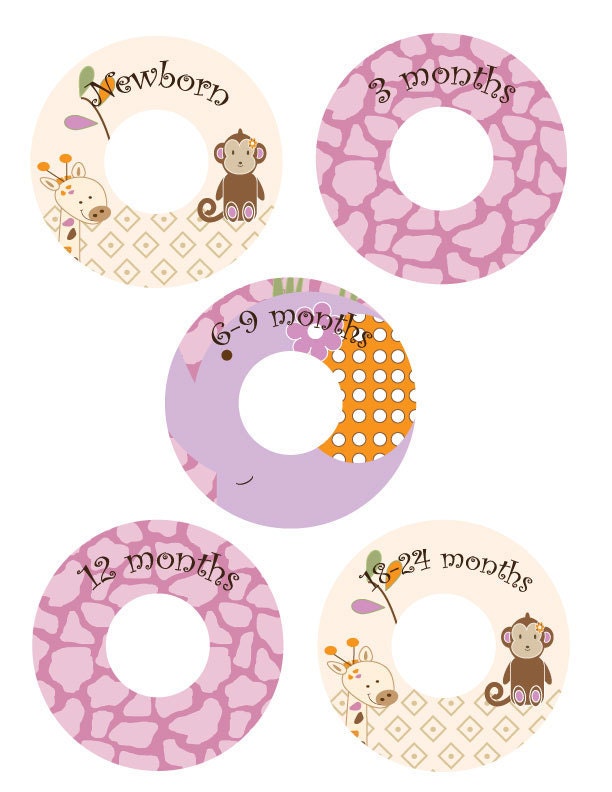 Baby Closet Divider Custom Closet Dividers  - JACANA