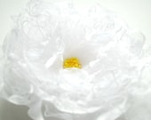SALE-SALE-White romantic rose-Briar rose-Weddings Accessories Hair -Bridal,bridesmaids brooch, comb, hair clip, flower for sash,corsage.
