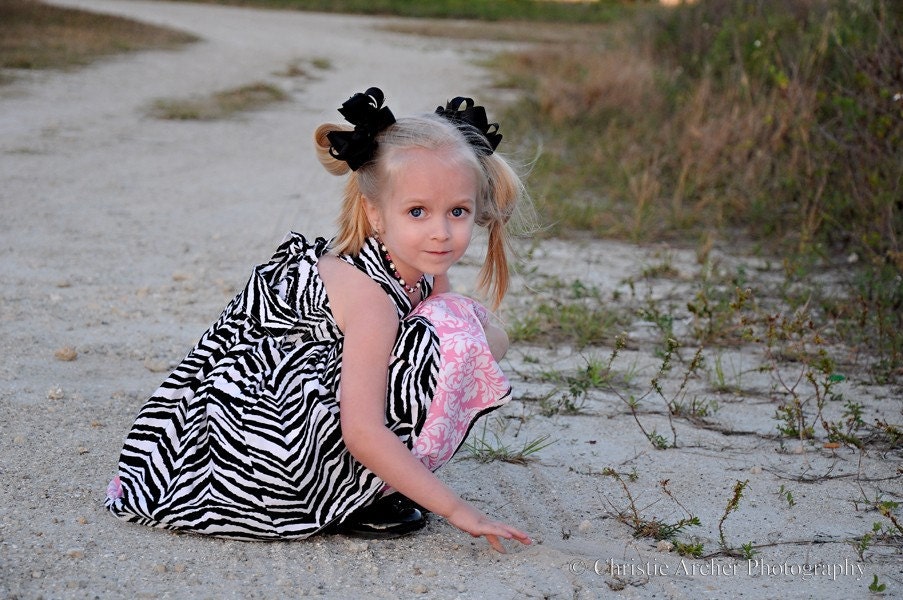Girls Boutique Dress, Zebra Lover, sizes 6 months to 7/8, by SunLoveShirts