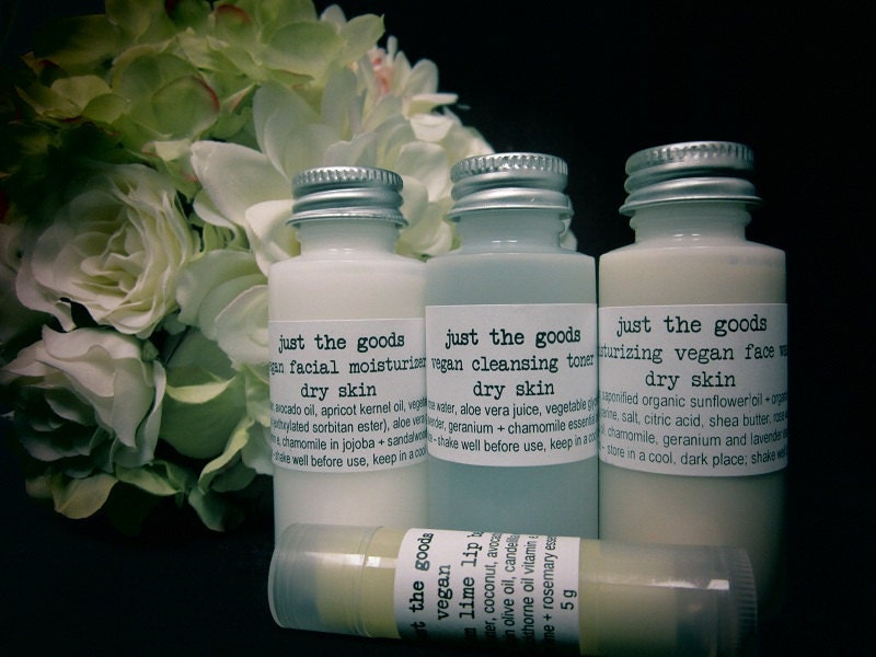 vegan skin care kit for dry skin - sample size, gift ready