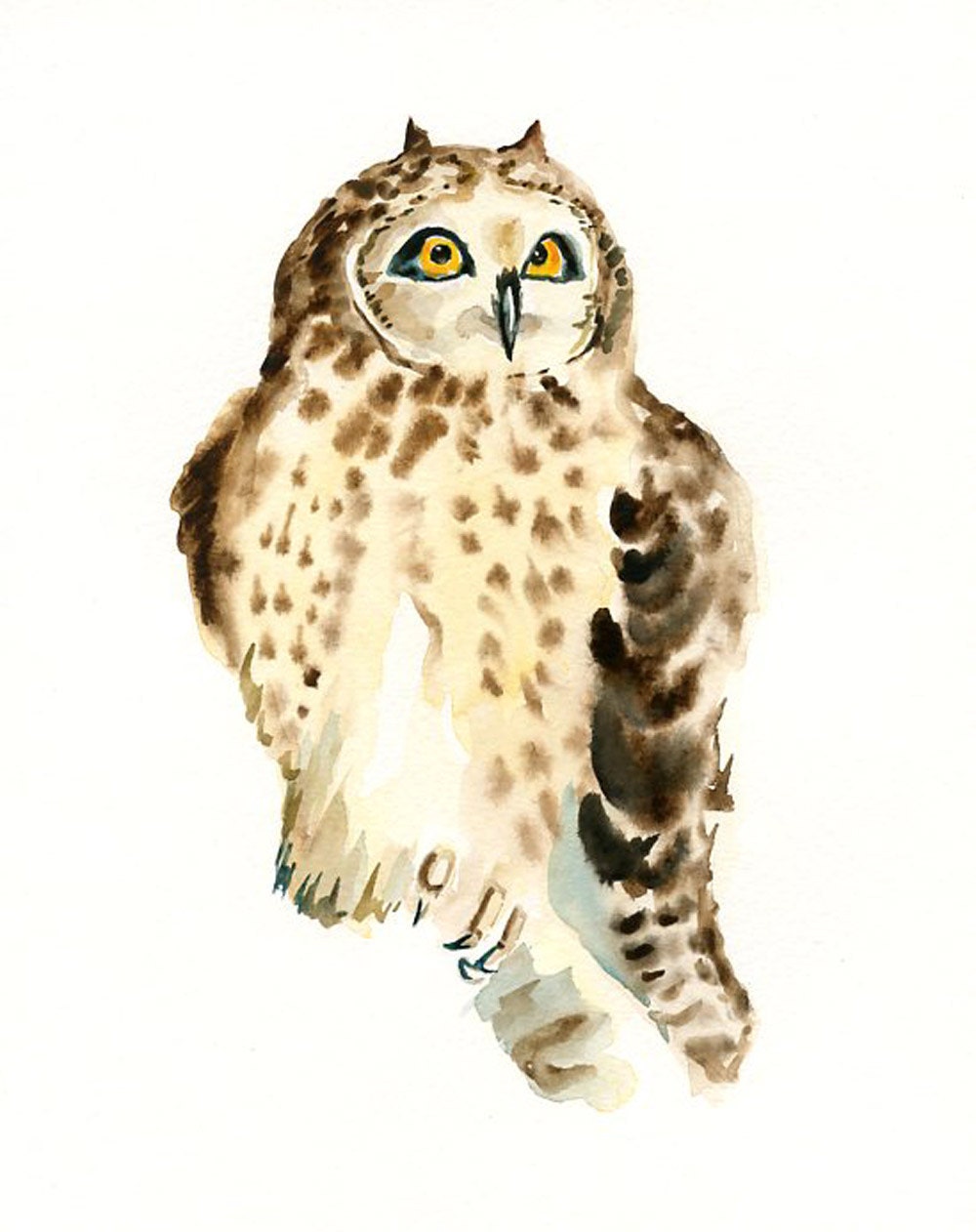 SMALL Eared OWL by DIMDI Original watercolor painting 8X10inchxxxxAll the animals that you wantxxxx