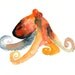 OCTOPUS by DIMDI Original watercolor painting 10X8inch