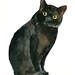 CAT by DIMDI Original watercolor painting 8x10inch