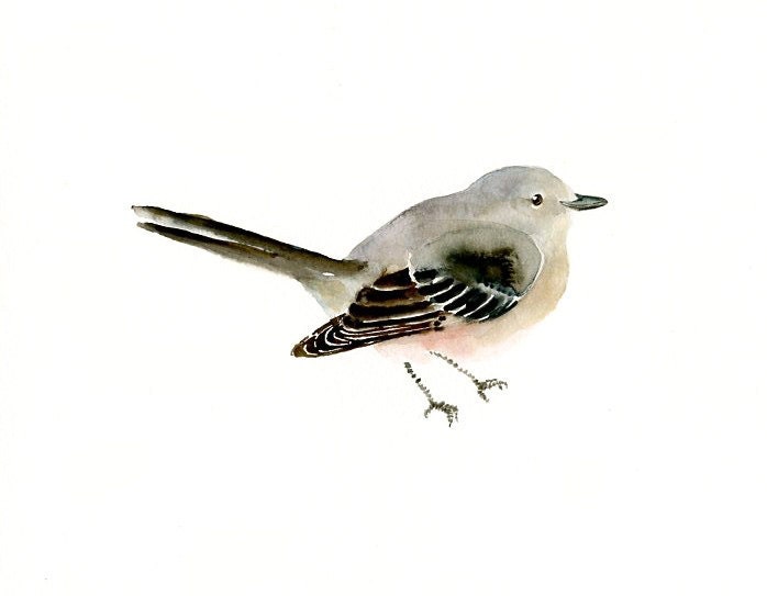 MOCKINGBIRD by DIMDI Original watercolor painting 10X8inch