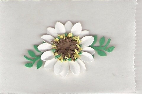 3-d Daisy stickers