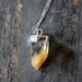 Orange Ombre Quartz Crystal Pendant