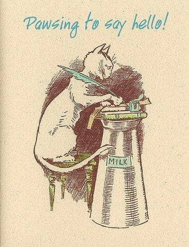 Cat Hello Cards, boxed set of 6 blank cards, for Cat Lovers -- 25% Percent Off SALE