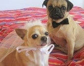 DOG costume - Pet BRIDE and GROOM costume - As featured in Etsys To have and to Hold Wedding Event
