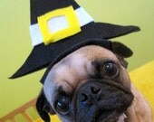 PILGRAM hat fits all size pets - Thanksgiving FALL Decoration
