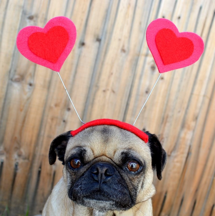 Valentines Day  - LOVE bug  HEART Hat for all size pet