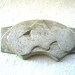 Vintage Japanese Metal Sweets Mold Kotobuki Plum Blossom Pine