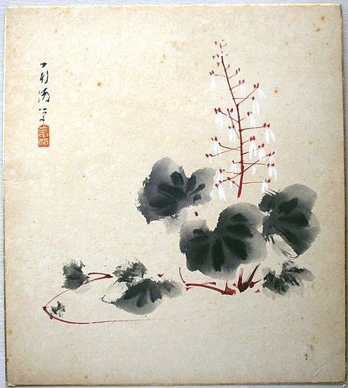 Vintage Japanese Painting Saxifrage in Showa Period