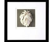 Ceramic art, 3-d Wall Decor,  White Pottery, Leaf, Vine , White,  Grey,  Black
