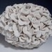 Hydrangea White Pottery Vase Decorative