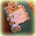 Seashells Galore Photo Album