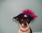 Pirate  hat for dogs and cats