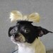 Lady Gaga hat for dogs or cats