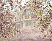 shabby chic home decor, "pink dream" landscape, building, cherry blossoms, fine art print, spring, nature, pastel photograph - VintageChicImages shabby chic home decor, "pink dream" landscape, building, cherry blossoms, fine art print, spring, nature, pastel photograph - VintageChicImages