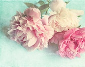 shabby chic home decor "Like Yesterday" pink peonies, fine art print, floral photography, pink, aqua, cottage decor - VintageChicImages