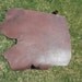 HEAVY Belt or Armor Grade Leather Latigo Shoulders- Cow Hide
