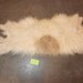 SALE ITEM White and Tan Icelandic Cross Sheepskin- Half Hide- Lot No. V21