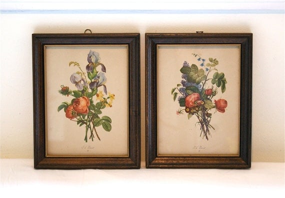 Set of Framed Botanical Prints Vintage J.L. by aSilverUnicorn