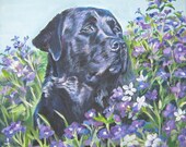 Labrador Retriever black lab art print CANVAS print of LA Shepard painting 8x8