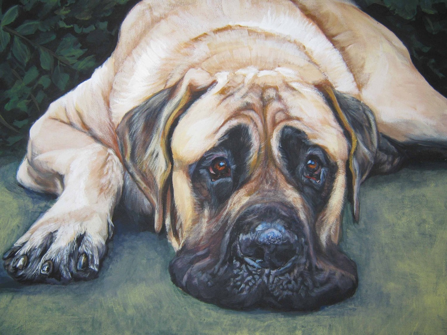 American mastiff art print canvas print of LA Shepard painting 12x16