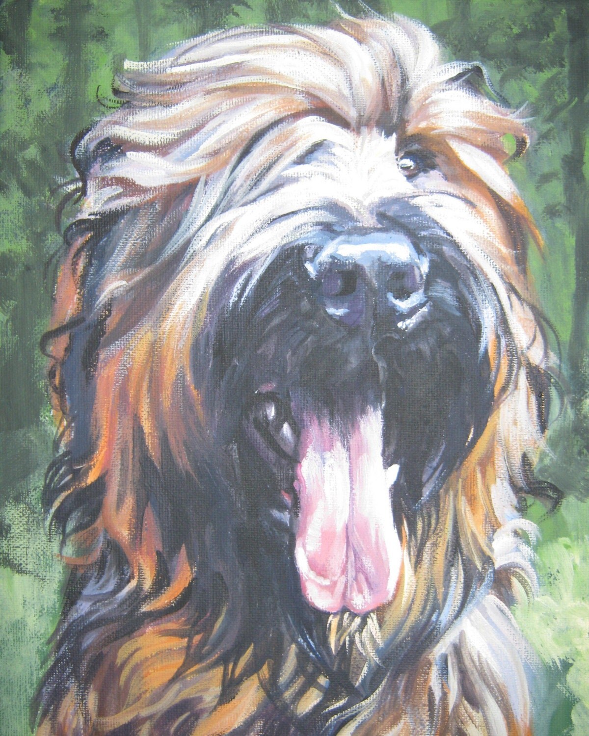 briard dog pictures