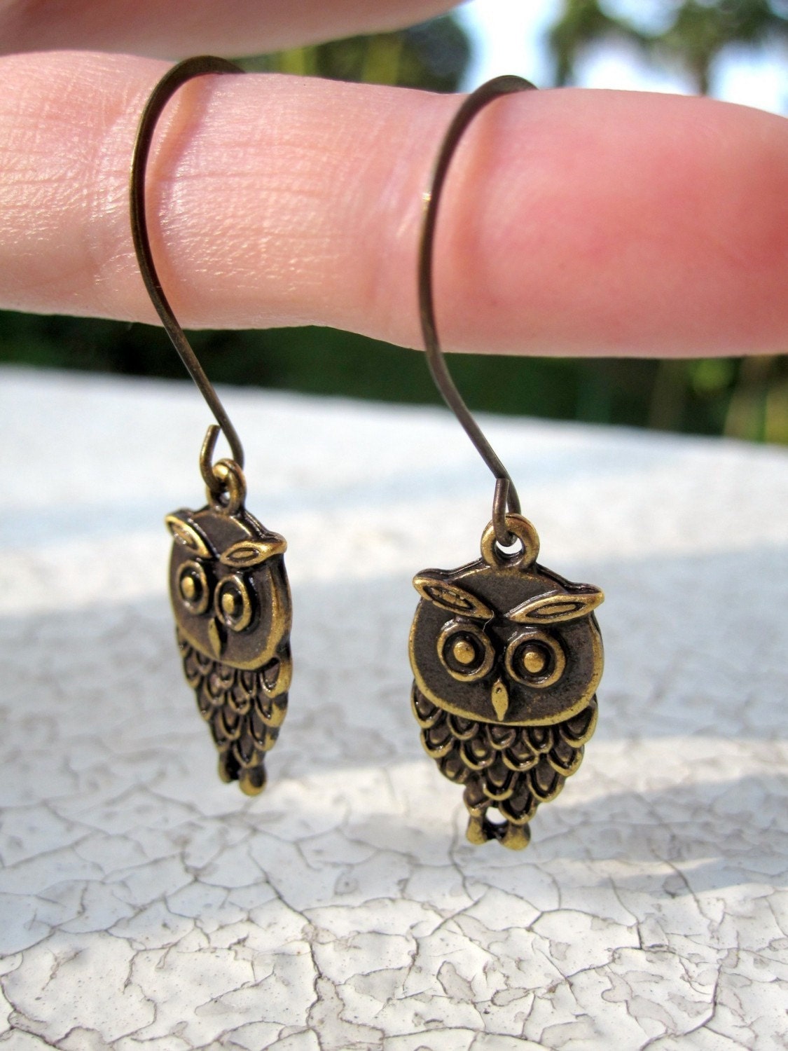 Owl Dangle Earrings Owl Jewelry - Hoot
