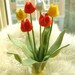 Felt Flower arrangement--Tulip--PDF Pattern and instructions via Email--P02