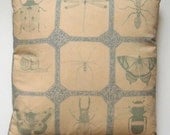Attenborough Cushion Pillow - Life in the Undergrowth Insects