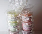 12 Assorted TART LITTLES - Ready to Ship