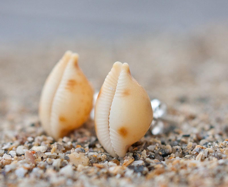 Sea Shell Stud Earrings Sterling Silver Yellow Orange white beach fashion aqua marine nautical vacation