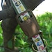 Owl dog collar -- Henry Hoots