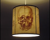 Da Vinci's Creed Skull pendant lamp shade lampshade - skull lamp, human anatomy, steampunk lighting, assassin's creed